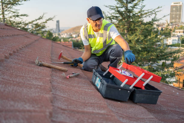 Best Siding Replacement  in Laurium, MI